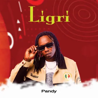 Ligiri by Pandy