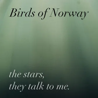 The stars, they talk to me by Birds of Norway