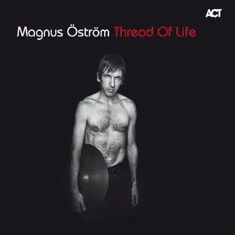 Thread of Life by Magnus Öström