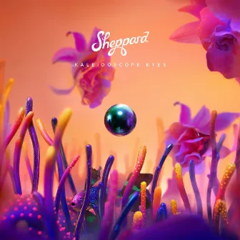 Kaleidoscope Eyes by Sheppard