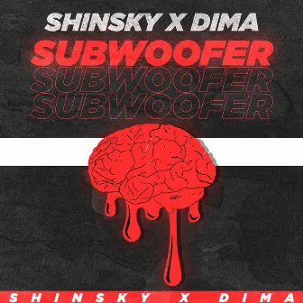 Subwoofer by SHINSKY x DIMA