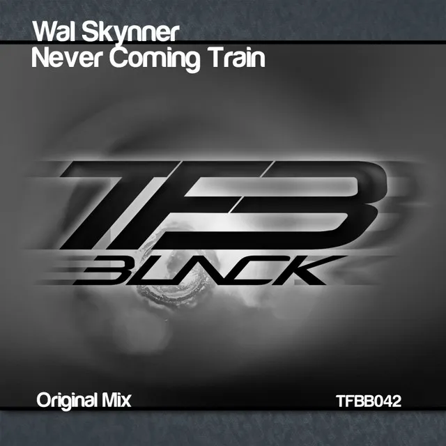 Never Coming Train - Original Mix