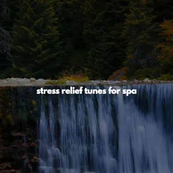 stress relief tunes for spa by Music For Deep Sleep