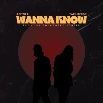 Wanna Know by Abitola