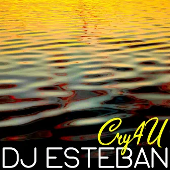 Cry 4 U by DJ Esteban