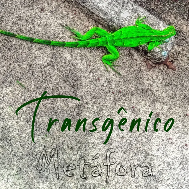 Transgênico