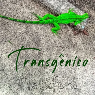 Transgênico by Metáfora