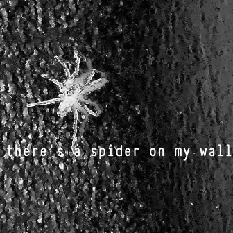 there's a spider on my wall by SINE