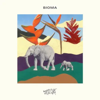 Bioma by Awka