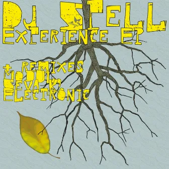 Experience EP by DJ Spell