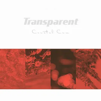 Transparent by Coastal Cam