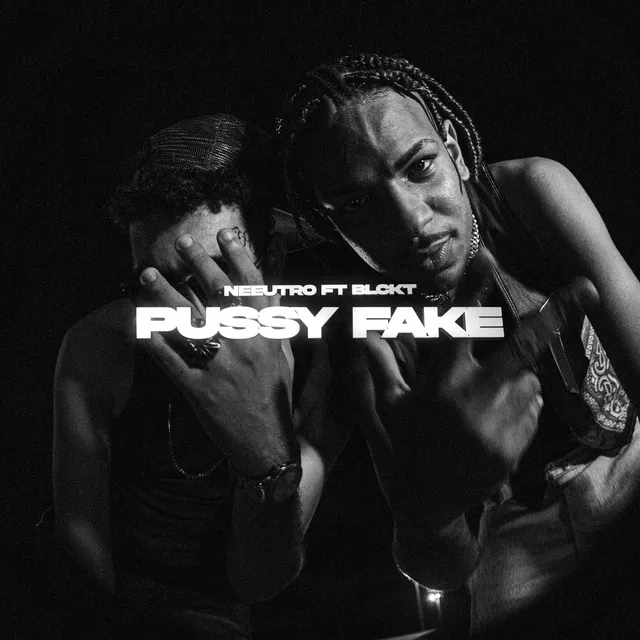 Pussy Fake