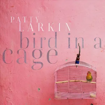 Bird in a Cage by Patty Larkin