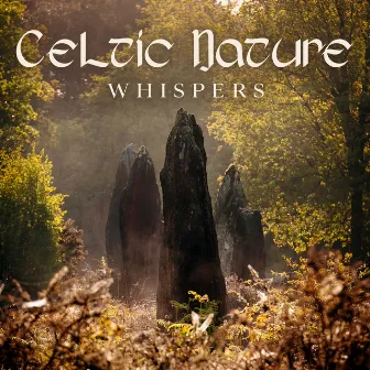 Celtic Nature Whispers: Sleep Music Relaxation, Harmony Sounds for Sleep by Sweet Bedtime Zone