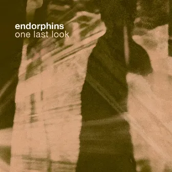 One Last Look by Endorphins