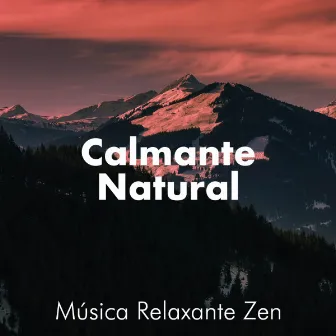 Calmante Natural - Música Relaxante Zen que pode reduzir o estresse by Unknown Artist