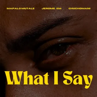 What I Say by Mapalo Mutale