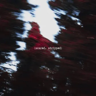 Scared - Stripped by CRISE