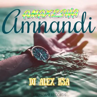 Amaxesha Amandi (To Jabs CPT) by Dj Alex RSA