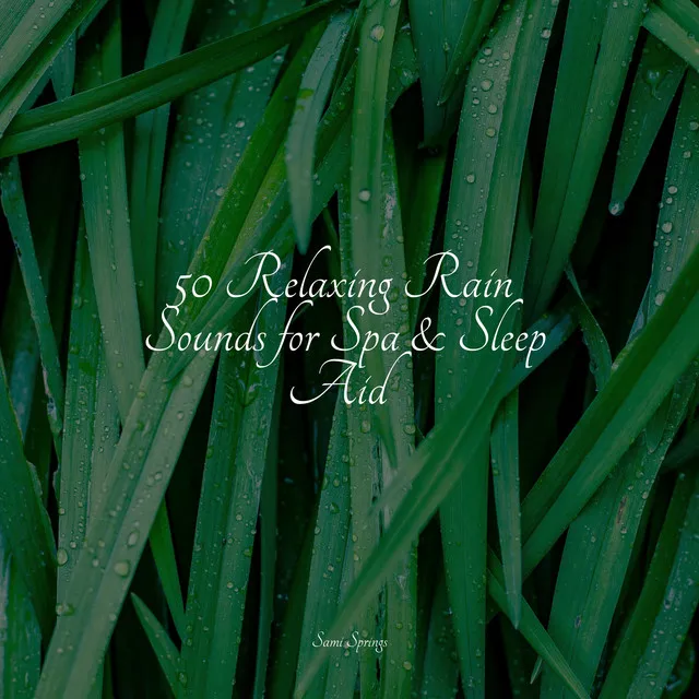 50 Relaxing Rain Sounds for Spa & Sleep Aid