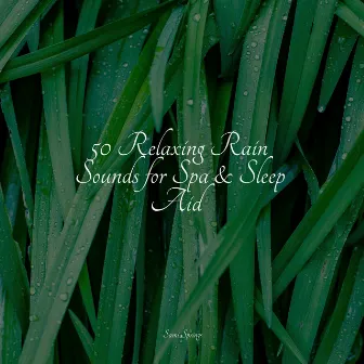 50 Relaxing Rain Sounds for Spa & Sleep Aid by Thunder and Rain Storm