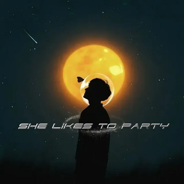 She Likes to Party - Remix