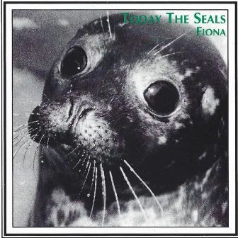 Today The Seals by Fiona Middleton