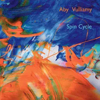 Spin Cycle by Aby Vulliamy