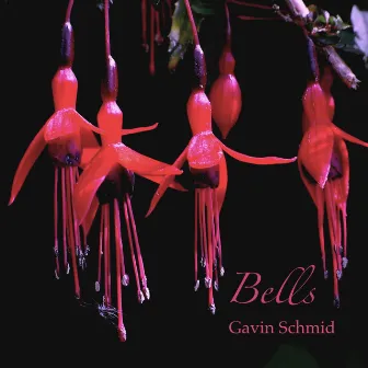 Bells by Gavin Schmid