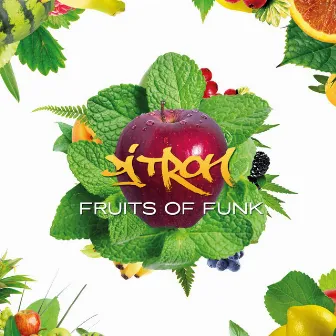 Fruits of Funk by DJ Tron