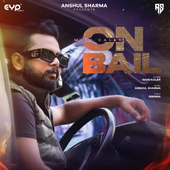 On Bail by Anshul Sharma