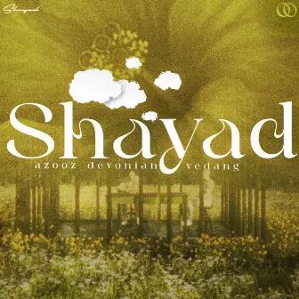 Shayad by Devoniàn