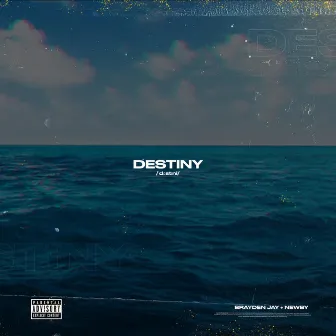 Destiny by Brayden Jay