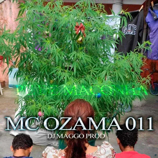 Pé de Maconha