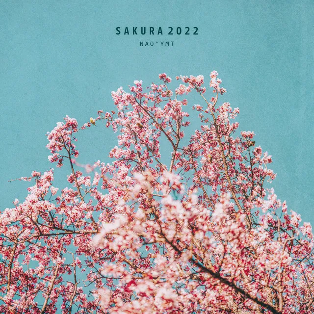 Sakura 2022