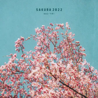 Sakura 2022 by Nao'ymt