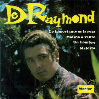 Lo importante es la rosa by De Raymond