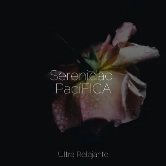 Serenidad PacíFICA by Musica Relajante Specialistas & Musica Relajante