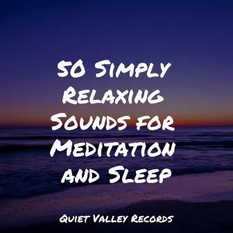 50 Simply Relaxing Sounds for Meditation and Sleep by Cascada de Lluvia