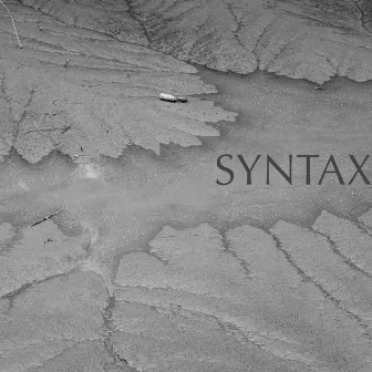 Syntax EP by Arkist