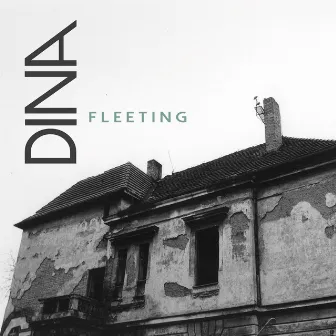 Fleeting by Dina