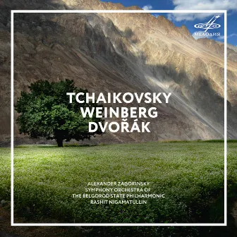 Tchaikovsky, Weinberg, Dvořák by Alexander Zagorinsky