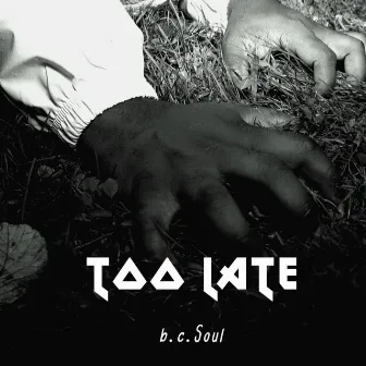 Too Late by b.c.Soul