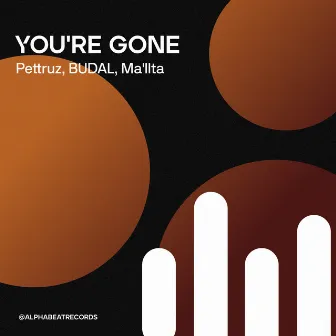 You're gone (Extended) by Pettruz