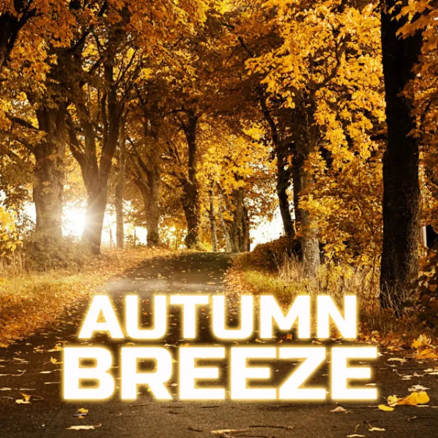 Autumn Breeze