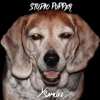 Studio Pupper by Y. Samuel