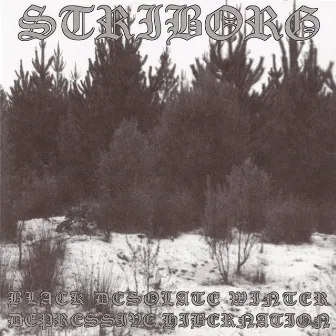 Black Desolate Winter / Depressive Hibernation by Striborg