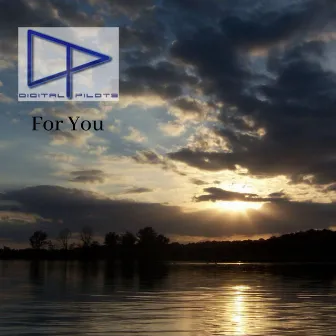 For You by Digital Pilots