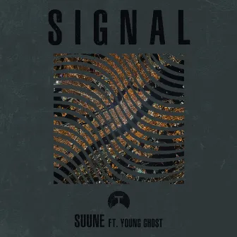 Signal by SUUNE