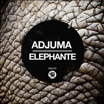 Elephante by ADJUMA